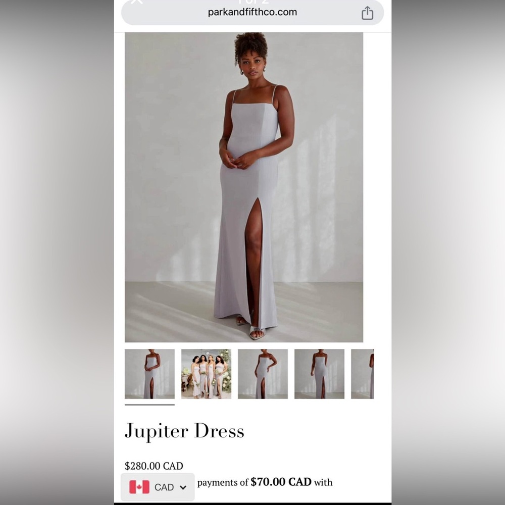 Park & Fifth Jupiter Dress